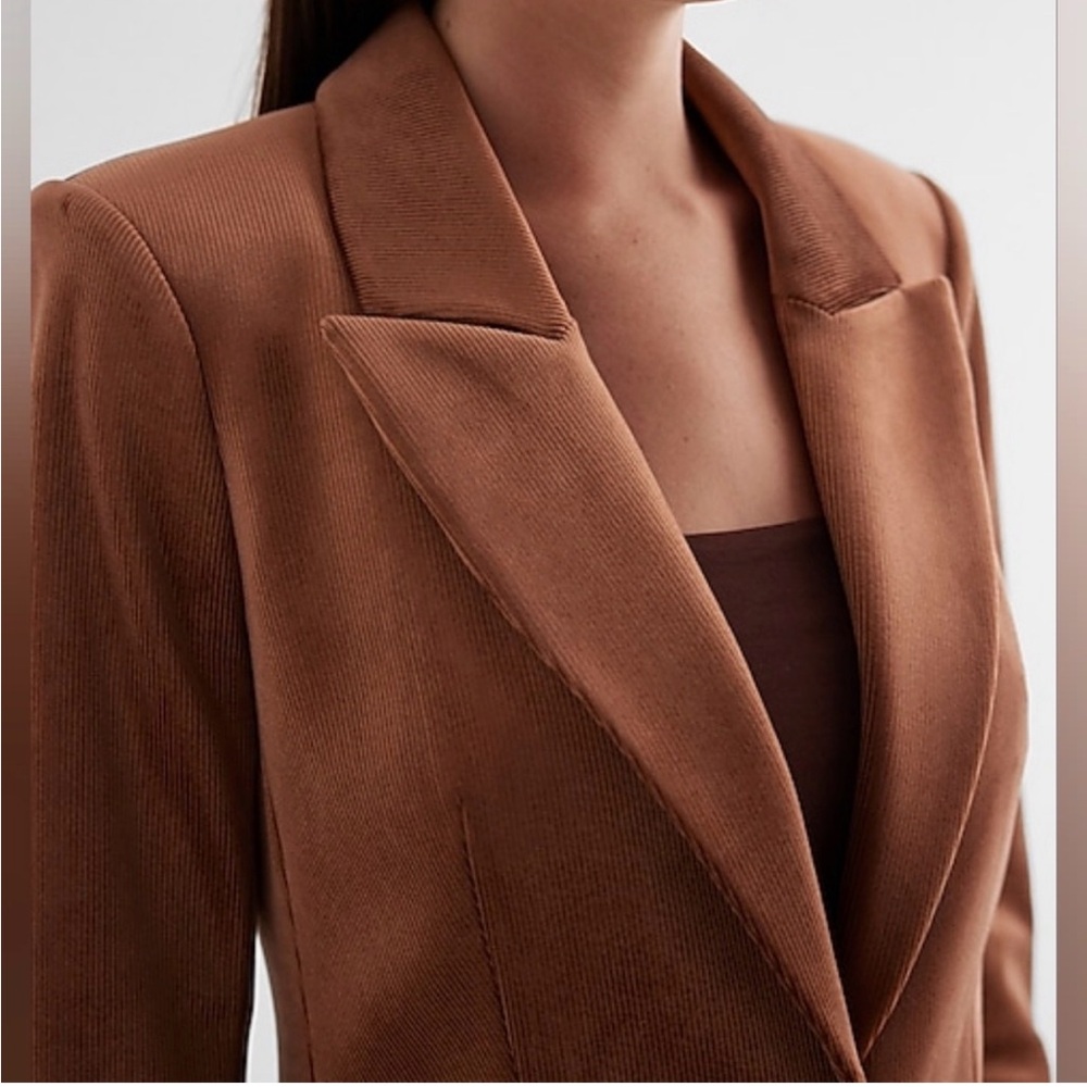 2 Piece Velvet Brown Women's Express Suit